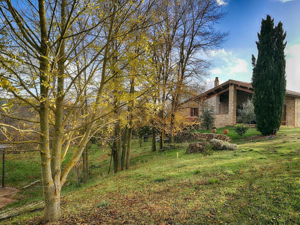 Agriturismo Casa Greppo San Venanzo Dış mekan fotoğraf